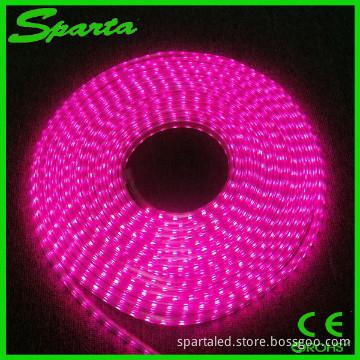 5050 RGBW LED Strip 30leds/M 110V/220V